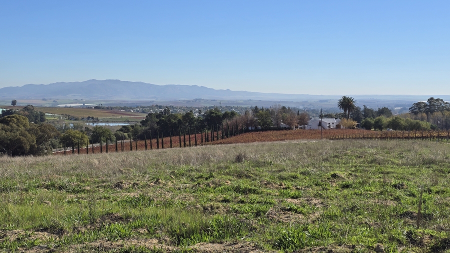 Commercial Property for Sale in Wellington Rural Western Cape